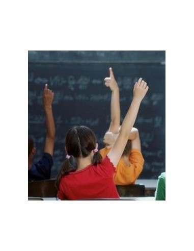 Affrontare i DSA nella Scuola...