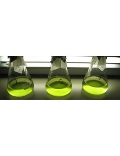 Scienze Laboratoriali nella...