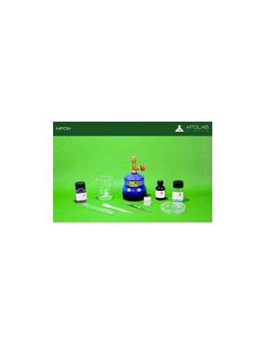 BIO 03004.2 Kit Mitosi -Avanzato-