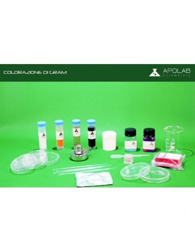 BIO 02004  Kit Colorazione GRAM