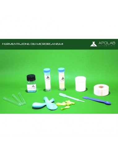 BIO 02003  Kit fermentazione dei...