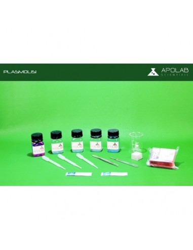 BIO 01003.7 Kit Studiamo la Plasmolisi