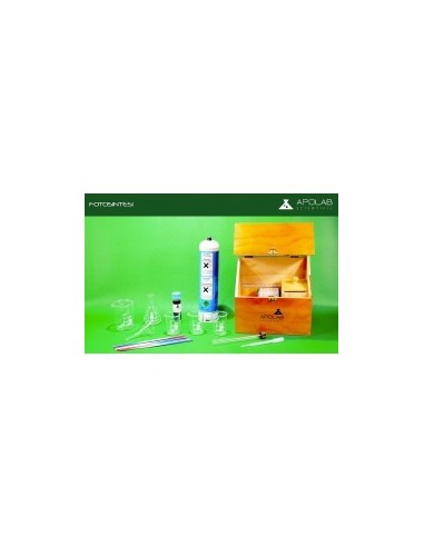 BIO 01003.4 Box Fotosintesi