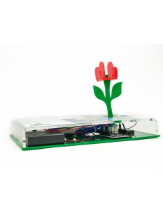 RB 4241 S.T.E.M. Complesso... 2