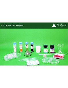 BIO 02004  Kit Colorazione...