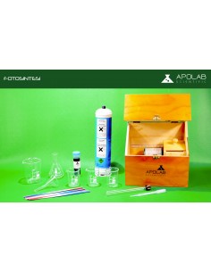 RB 4649 Complesso STEM per... 2