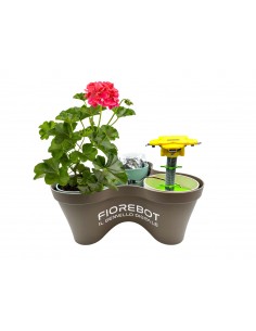 RB 4996 IL "FIOREBOT":... 2